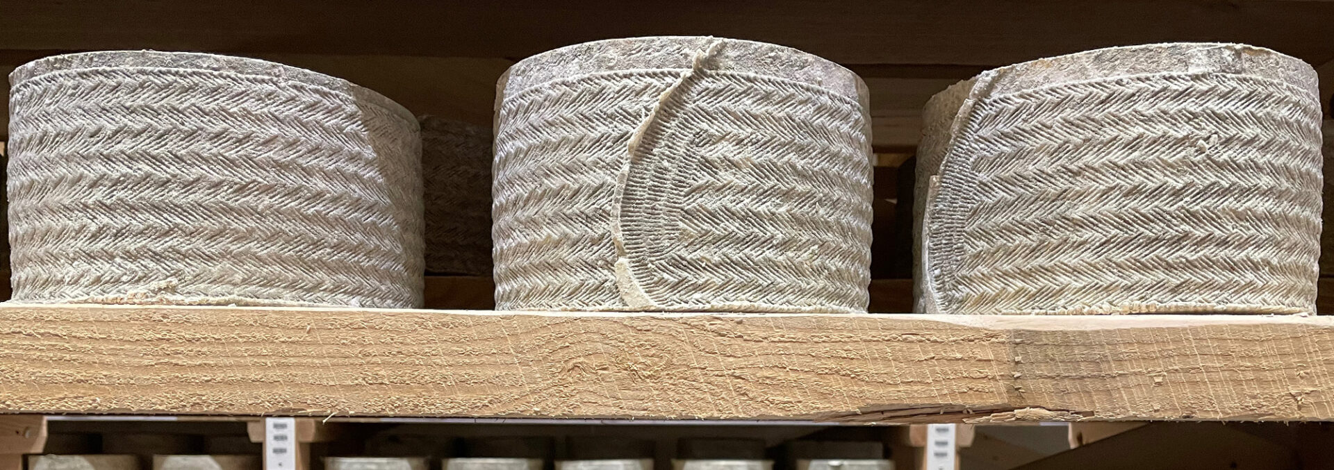 Clothbound cheddar wheels aging on wooden shelves in the Grafton caves